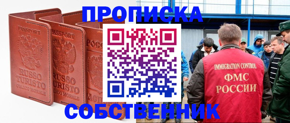 прописка поиск в Павловске